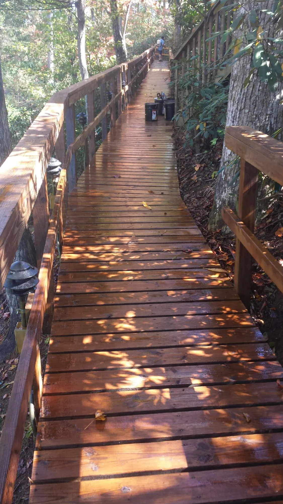 Freshly stained wood walkway winding through the woods in Junction City